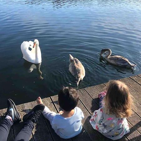 Haus Wilma Gruene Idylle Im Wald Direkt Am See Wendisch Rietz Esterno foto