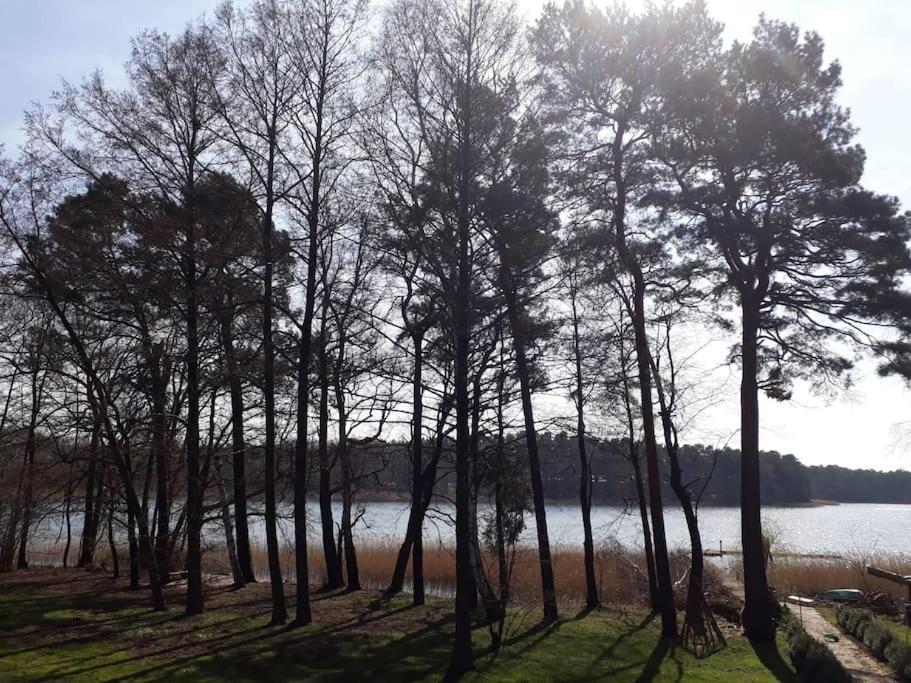 Haus Wilma Gruene Idylle Im Wald Direkt Am See Wendisch Rietz Esterno foto