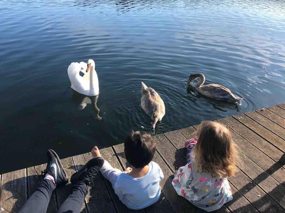 Haus Wilma Gruene Idylle Im Wald Direkt Am See Wendisch Rietz Esterno foto