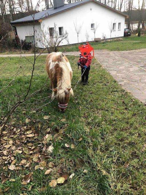 Haus Wilma Gruene Idylle Im Wald Direkt Am See Wendisch Rietz Esterno foto