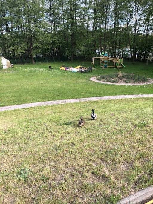 Haus Wilma Gruene Idylle Im Wald Direkt Am See Wendisch Rietz Esterno foto