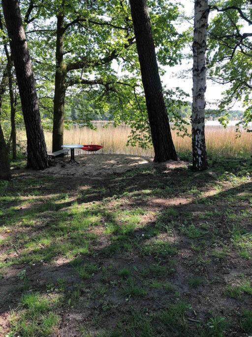 Haus Wilma Gruene Idylle Im Wald Direkt Am See Wendisch Rietz Esterno foto